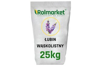 Łubin wąskolistny nasiona na poplon 25kg