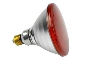 Promiennik, lampa podczerwona 100W Philips (żarówka, kwoka) – czerwona, zbrojona 