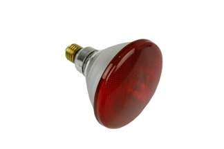 Promiennik, lampa podczerwona 175W Philips (żarówka, kwoka) – czerwona, zbrojona 
